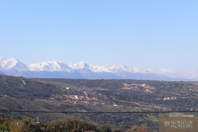 web_31 view to the white mountains.jpg